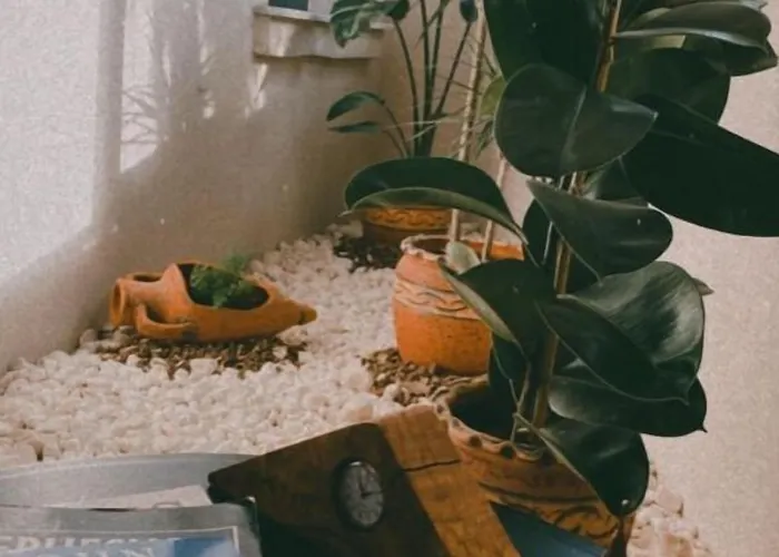 酒店 Kallinos Boutique *